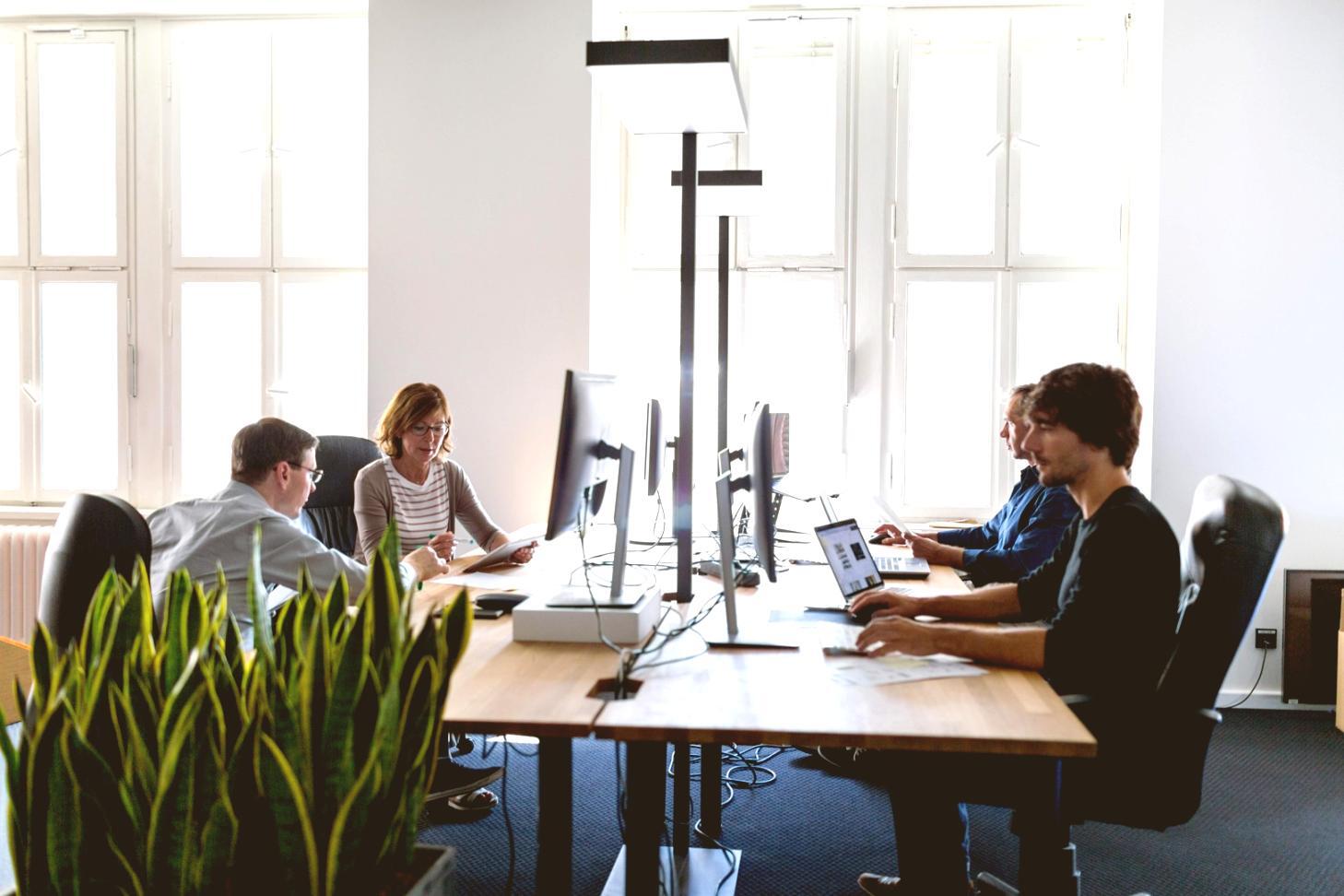 Екологічні дослідження популяцій у польових умовах